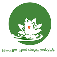 بنیاد معلولین ایرانیان